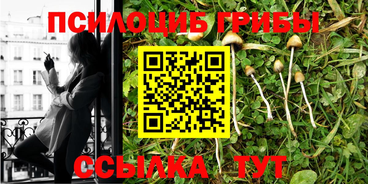 Благовещенск  Галлюциногенные грибы Cubensis  Галлюциногенные грибы Psilocybe  купить  сайты  Вход с VPN 